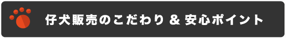 仔犬販売のこだわり&安心ポイント