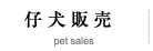 小犬販売pet sales